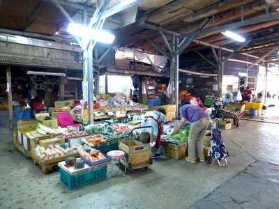 🛍️ 노우렌 플라자